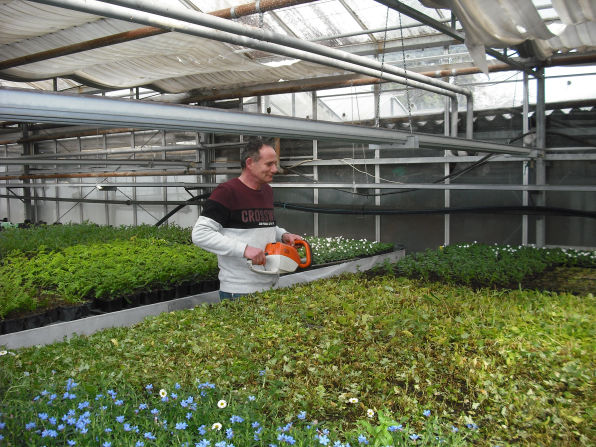 Mobirise Website Builder